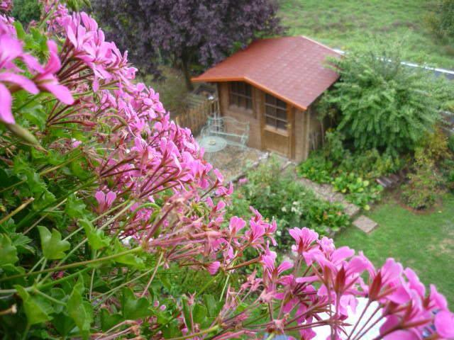 Gaestehaus Rosengarten Im Nahetal Kirn Room photo