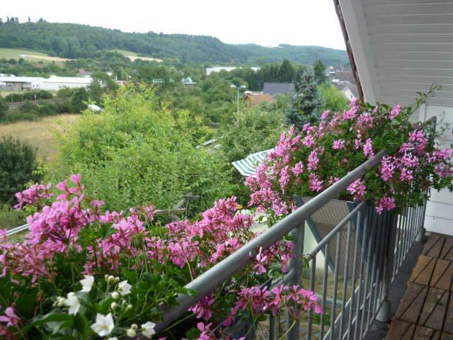 Gaestehaus Rosengarten Im Nahetal Kirn Room photo